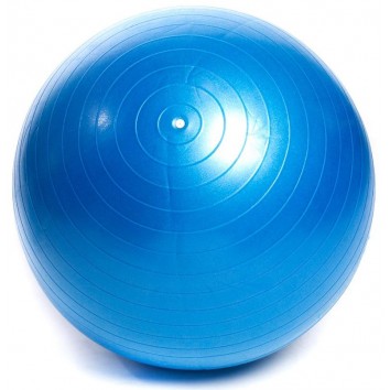 GYM BALL - 55cm